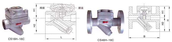 CS16H-16C膜合式疏水閥結構示意圖